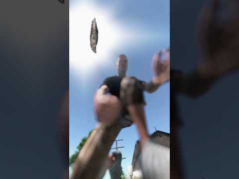 Fondo los pinchos te pinchan