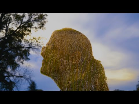 Wheat and Chaff | A Visual Montage