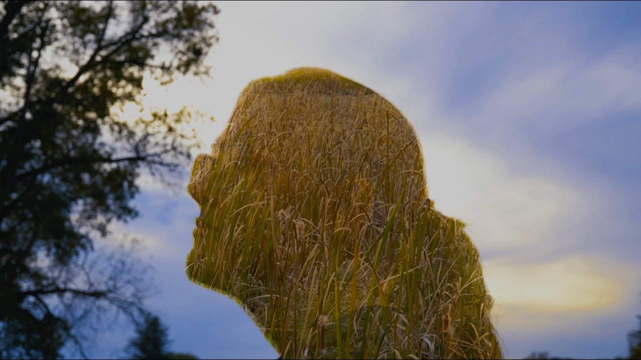 Wheat and Chaff | A Visual Montage