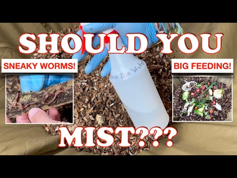 Do You Need to Mist Your Compost Worm Bin? | Vermicompost Worm Farm