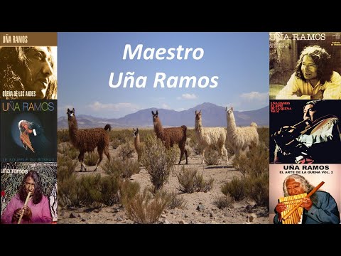 UÑA RAMOS, EPISODIO 16 DESDE LOS ANDES CON MELODÍAS (DLACM MMG E0016)