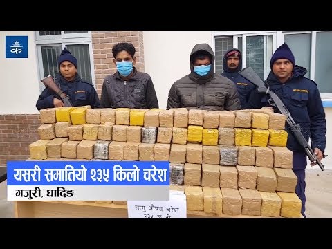 यसरी समातियाे २३५ किलो चरेश