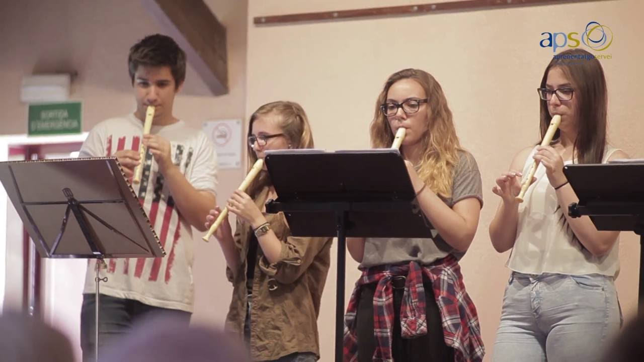 Experiència Aprenentatge Servei (APS) - Musicavis 