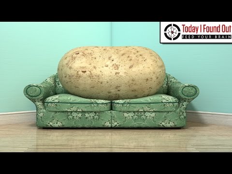 Why is Someone Who is Lazy Called a Couch Potato?