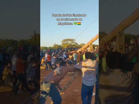 La Parada de Palo Encebado en Magdalena, Beni💚🇧🇴 #beni #bolivia #costumbres #turismo #mochilero