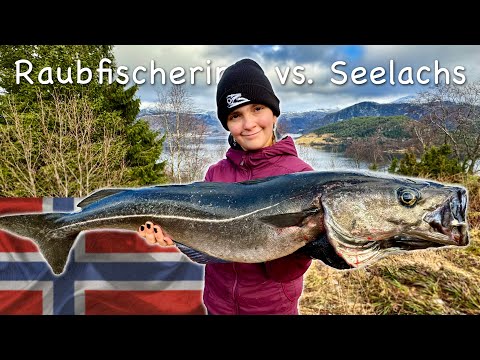 Das junge Mädchen und der Seelachs - Kampf auf Biegen und Brechen am Fjord!