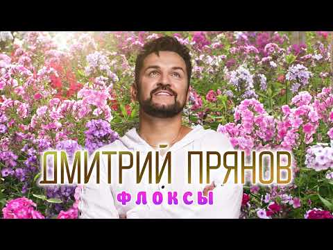 Дмитрий Прянов — Флоксы (ПРЕМЬЕРА ПЕСНИ)