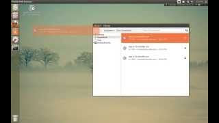 How to open any .exe (Windows) file on Ubuntu 12/13