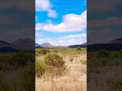 Taninga, Provincia de Córdoba, Argentina.#taninga