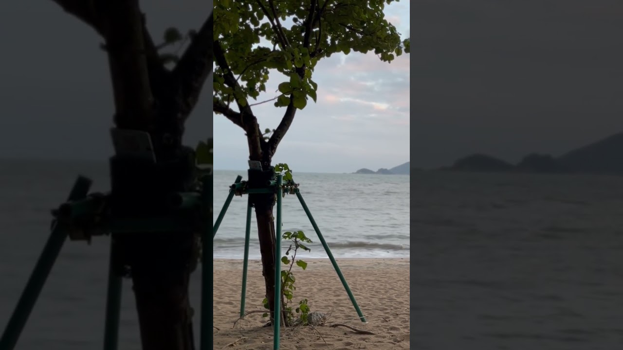 YouTube Short thumbnail