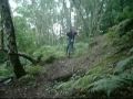 Muni Movie