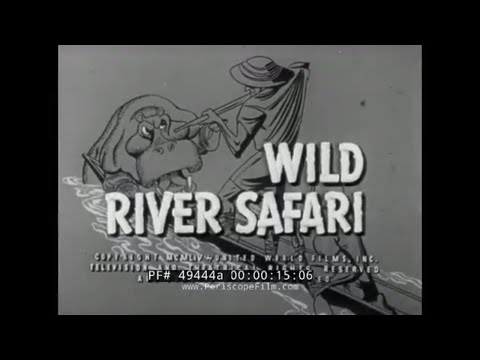 1954 CONGO & UBANGI RIVER AFRICA EXPEDITION  "WILD RIVER SAFARI"  PYGMIES  49444a