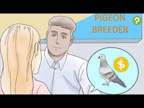 , title : 'Comment élever et entraîner un pigeon voyageur'