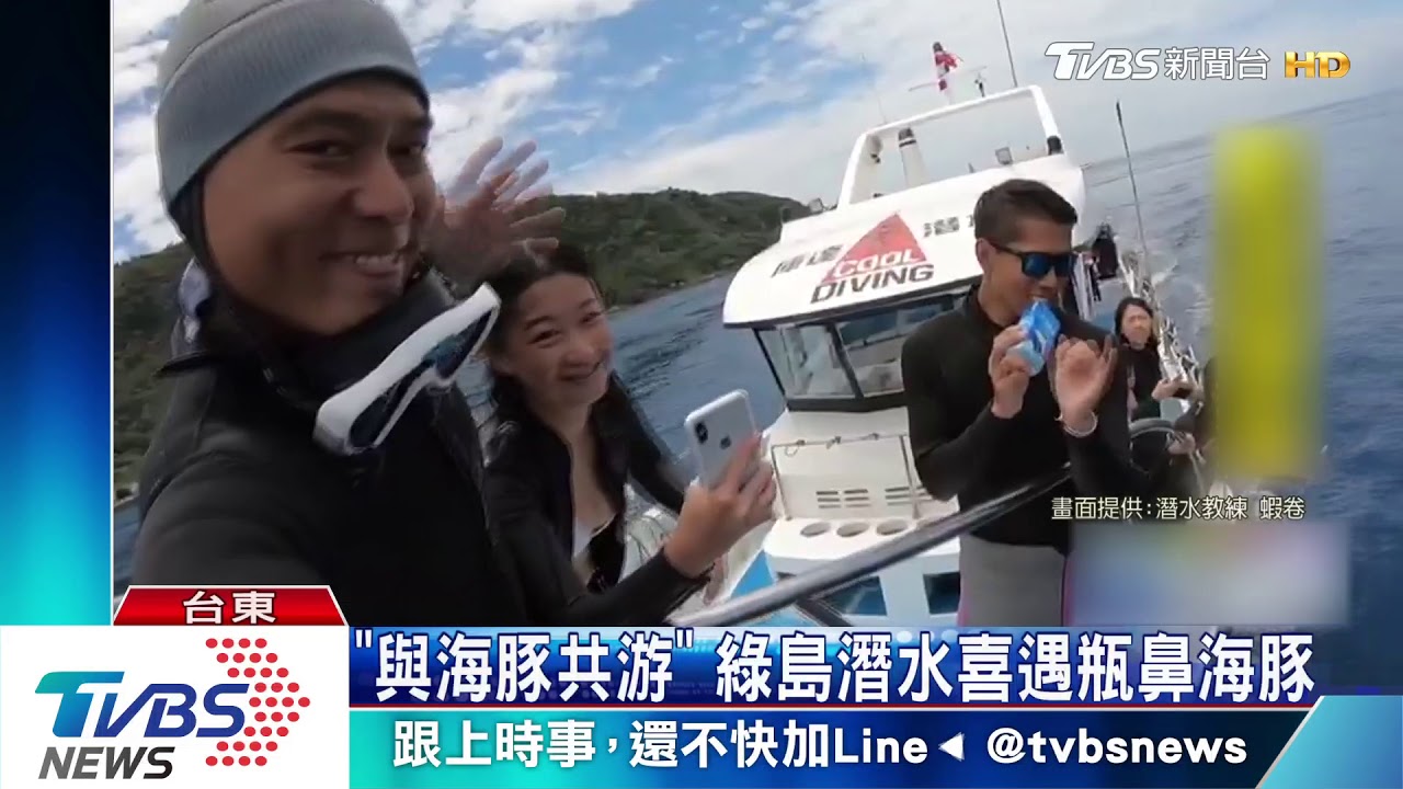 「與海豚共游」 綠島潛水喜遇瓶鼻海豚
