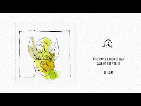 Acid Pauli & Nico Stojan: Call Of The Valley