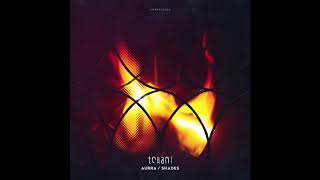 Tchami feat. Donnie Sloan & Ricky Ducati - Shades