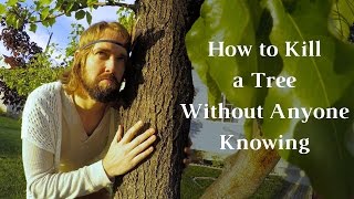 How To Kill A Tree Without Anyone Knowing - How To Kill A Tree - Journey To Sustainability