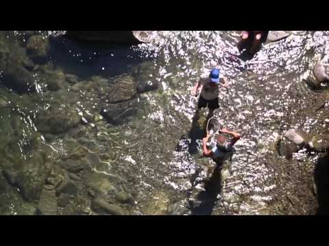 A Night On The River - The Infamous Stringdusters