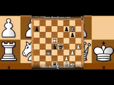 Šahovski problem br 4  - TOPALOV vs KASPAROV - mat u dva poteza # 183 sah i mat