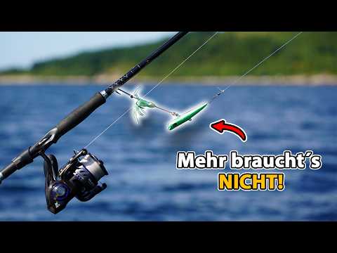 Monster whiting in Norway!🎣How we outsmarted them