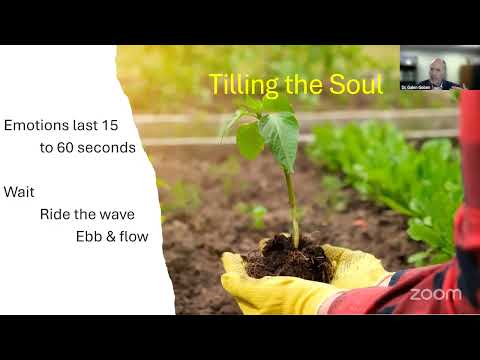 Understanding Grief: Tending Your Patience in Grief