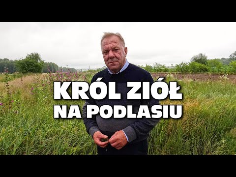 „Król ziół na Podlasiu” - u Mirosława Angielczyka, Ziołowy Zakątek, Dary Natury, część druga
