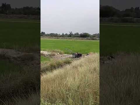 ที่ดิน 30 ไร่ แยกไทรน้อย อยู่ใกล้สำนักงานบริษัทใหญ่และโรงงานเถ้าแก่น้อย – รูปที่ 2