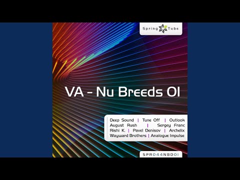 Without You (Original Mix)