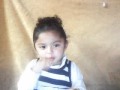 Funny Little Bi Bi
