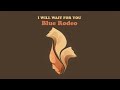 Blue Rodeo - I Will Wait For You (Visualizer)
