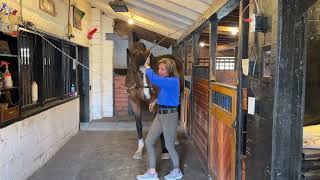How Do You Get Your Horse to Stand Still/Relax in the Crossties (and anywhere else)