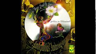 Amorphous Androgynous In the Summertime of Consciousness