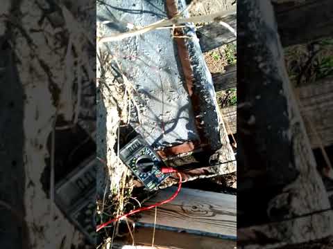 Безумный эксперимент 1