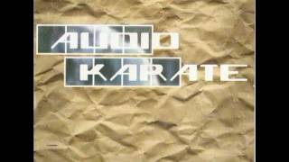 Audio Karate - "Do You Miss Meaning Everything to Me..."