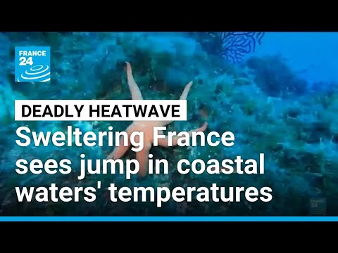 Sweltering France sees jump in coastal waters' temperatures