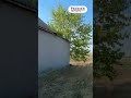 Видео превью