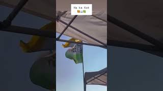 Congratulations NPP MDC Alvin Sawkmie  24th Feb 2025//#mdc #election #shorts