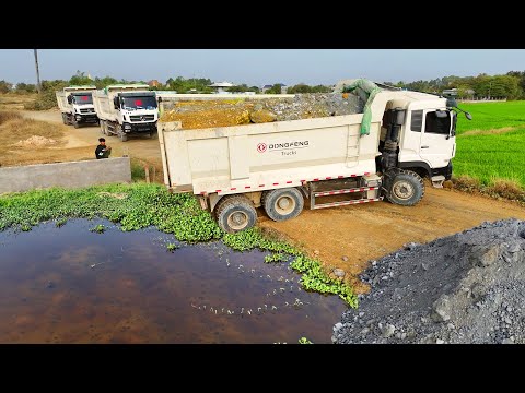 Be Watchful! Start New Landfill Site Formed! Dump Truck 25T & Dozer Pushing Stone Soil Flooded Area!