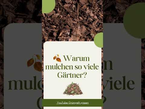 Mulchen oder nicht ? #grünwelt #pflanzenpflege #garten #plants #natur #garden #pflanzen #bio