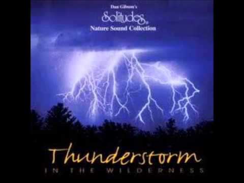 Dan Gibson - Thunderstorm in the wilderness