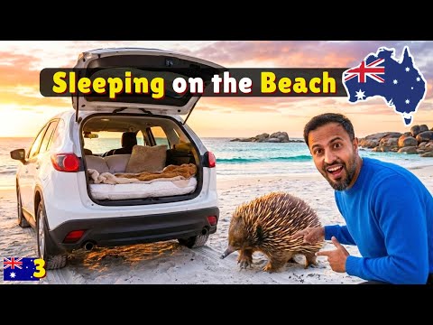 Tasmania's Unbelievable East Coast | Free Camping in Australia