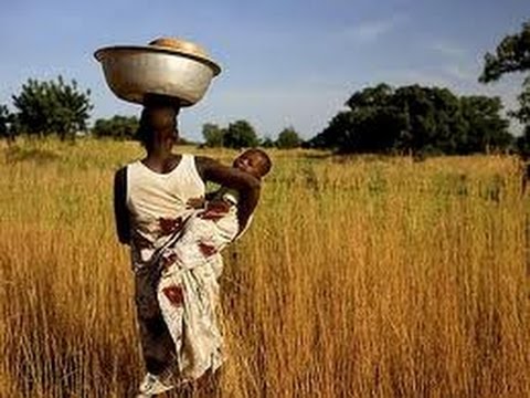 Tv7 con Voi del 03/02/2015 - Opportunità di sviluppo (1 di 3)