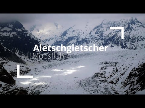 Rodeln am Aletschgletscher, dem größten Gletscher der Alpen - Moosfluh | Wallis