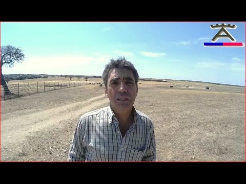 Victorino Martín nos cuenta y enseña en que consiste un saneamiento