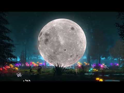 Space Motion - Morttagua - Kamilo Sanclemente - Tash / Saison 2022