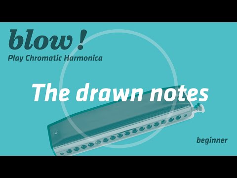 EXERCISE USING DRAW NOTES / Beginner / Blow! Play Chromatic Harmonica