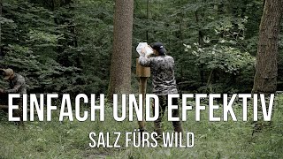 FDJ | Eine Salzlecke die keiner klaut, aber jeder will! DIY - Wir bauen alles selbst