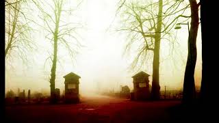 Shadowland - The Tragic Guilt