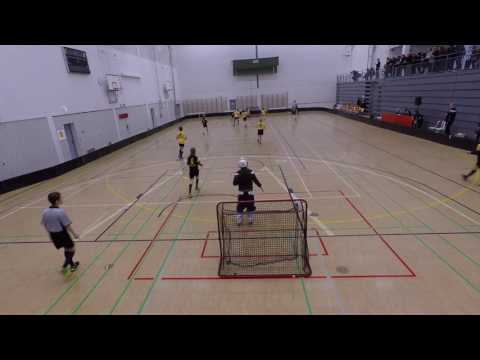 2017-02 Kuopio: Welhot-04 vs Welhot-03 Flames, alempi jatkosarja 03-sarjassa, voitto 8-1