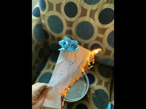 Paragraff(US) - Goodnight